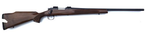 Remington 700 in 308