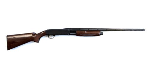 Browning BPS in 20ga