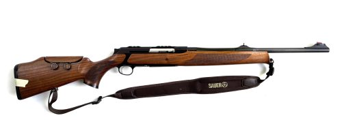 Sauer 303 in 30-06