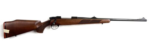 Sako 75 Hunter in 30-06