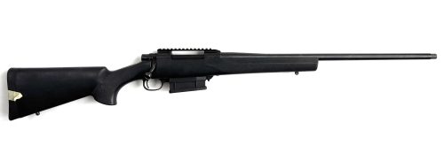 Howa 1500 in 30-06